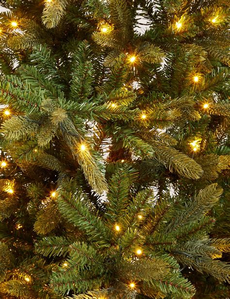 are noble christmas trees cheap